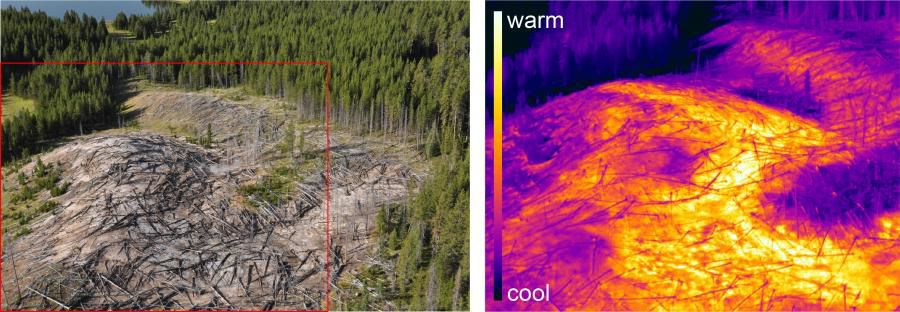 Infrared image